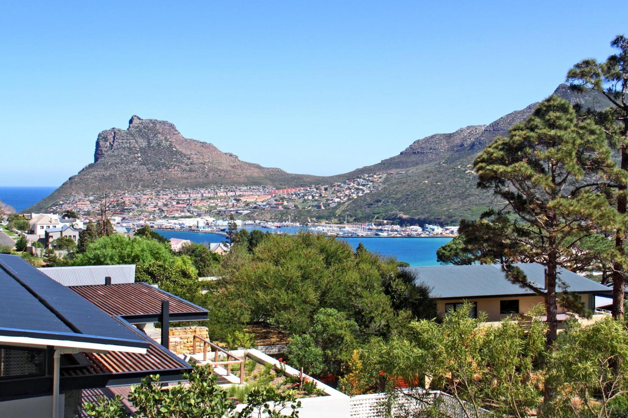 Arena * Cape Town